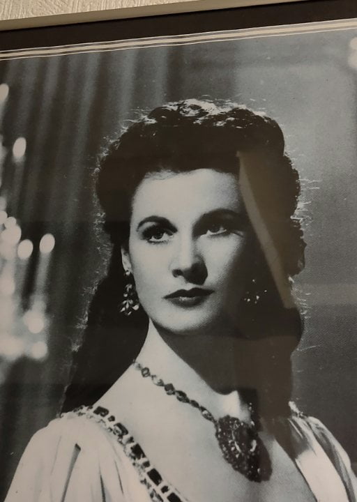 ビビアン・リー｜風俗嬢のひとりごと＠埼玉の熟女ニューハーフヘルス嬢・マダム舞