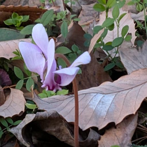 余白。余韻。間。 | 元風俗嬢ニューハーフの美学